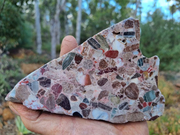 Polished Marillana Conglomerate MC101