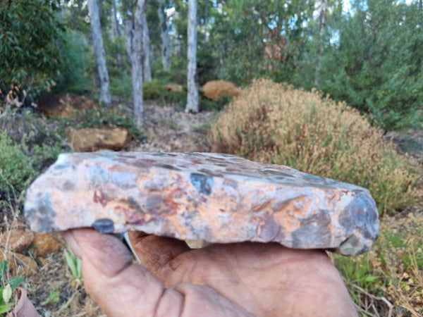 Polished Marillana Conglomerate MC101