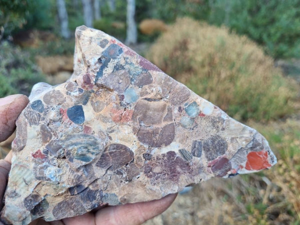 Polished Marillana Conglomerate MC101