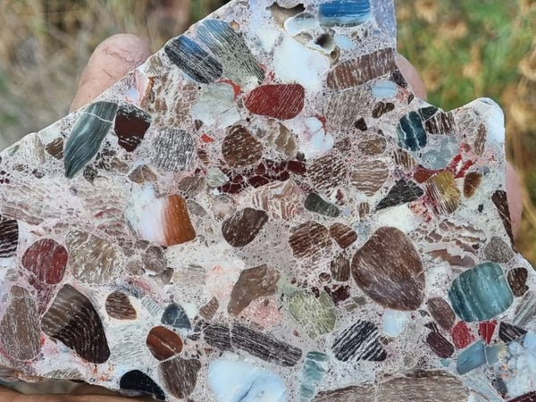 Polished Marillana Conglomerate MC101