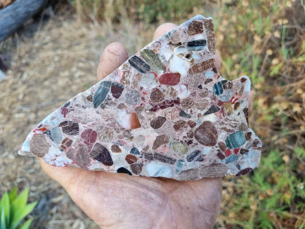 Polished Marillana Conglomerate MC101