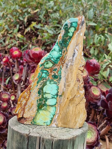 Polished Variscite   VP246