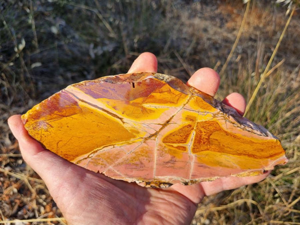 Polished Pink Opal slab POP157