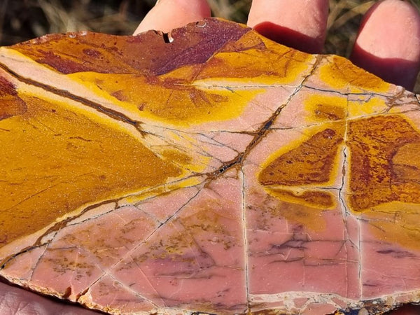 Polished Pink Opal slab POP157