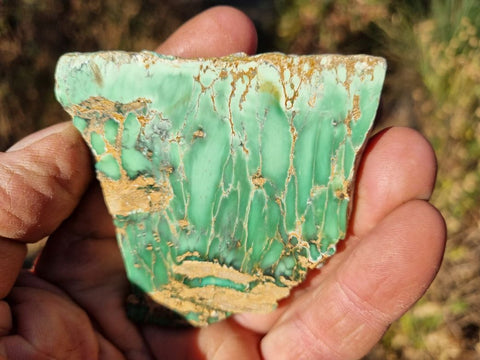 Variscite Polished Slab.  VP 247