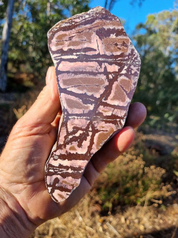 Polished Outback Jasper  OJ156