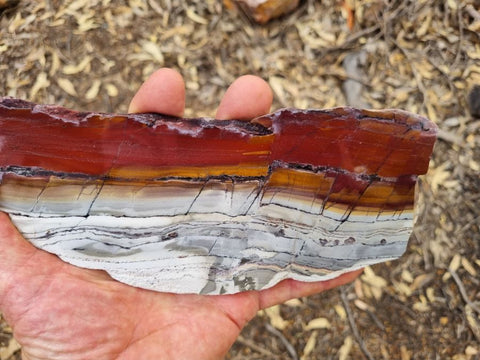 Sunset Jasper polished slab SU136