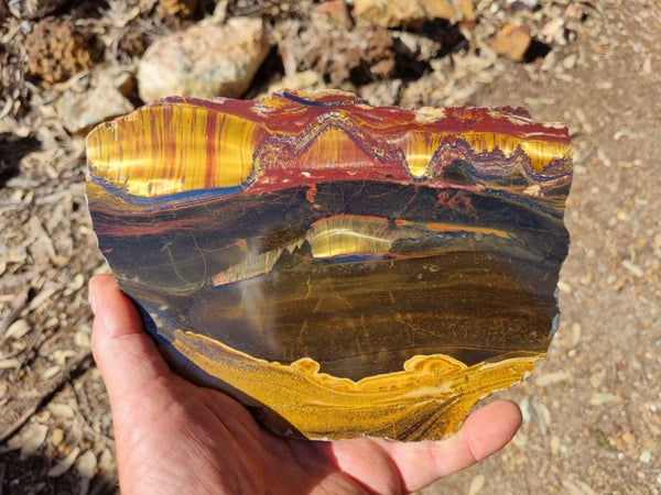 Polished Tiger Eye slab TE353