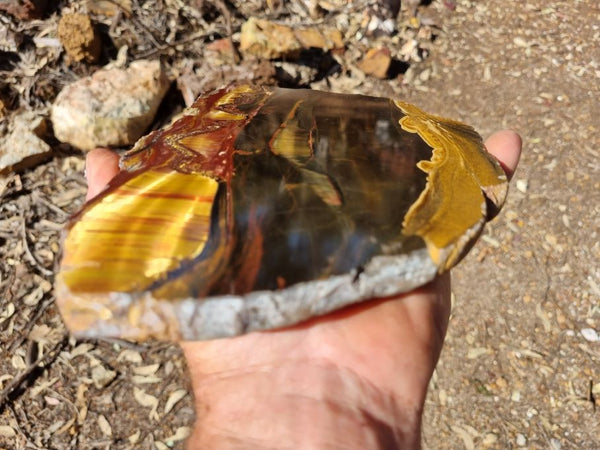 Polished Tiger Eye slab TE353