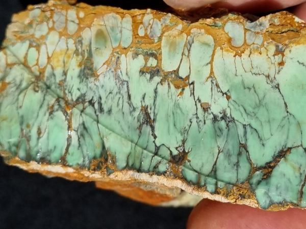 Variscite rough.  VR 387