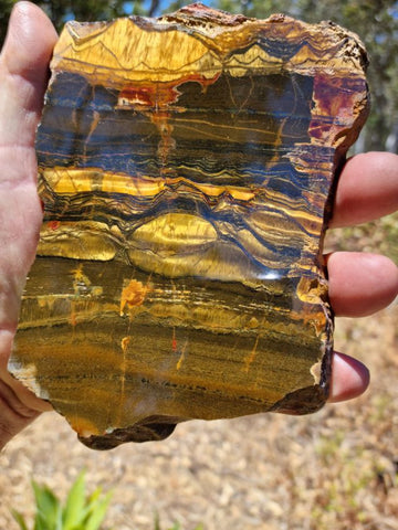 Polished Tiger Eye slab TE348