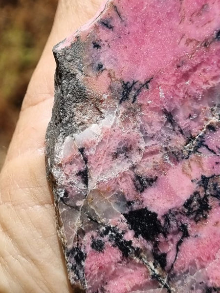 Polished Rhodonite slab RH243