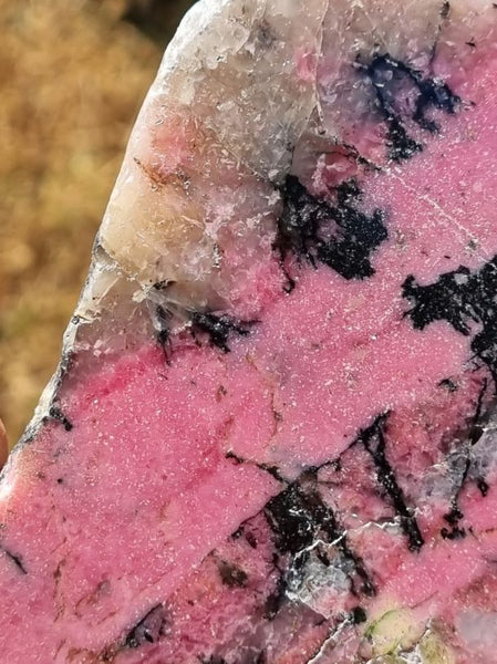 Polished Rhodonite slab RH243