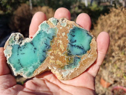 Polished Dendritic Chrysoprase slab CH399