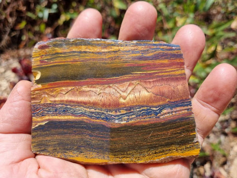 Polished Tiger Eye slab TE351