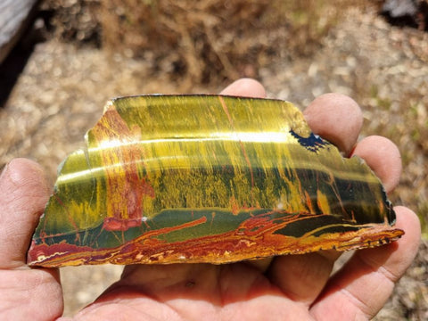 Polished Tiger Eye slab TE357