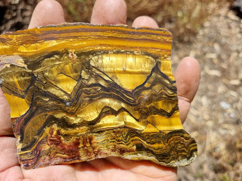 Polished Tiger Eye slab TE355