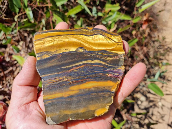 Polished Tiger Eye slab TE359