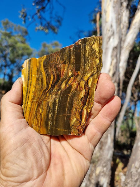 Polished Tiger Eye slab TE363