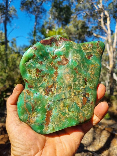 Contour Polished Chrysoprase CHC103