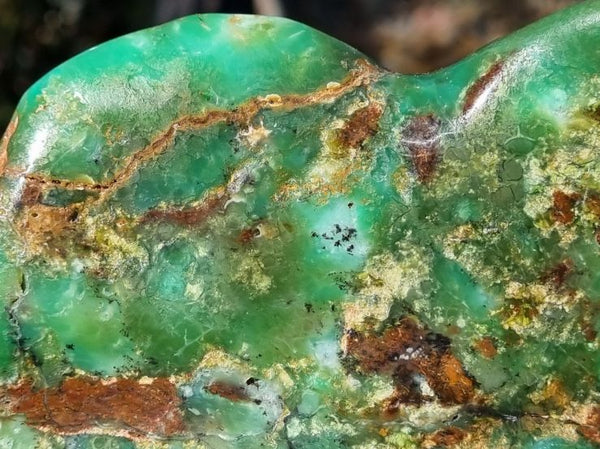 Contour Polished Chrysoprase CHC103