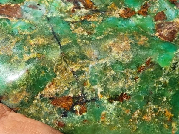 Contour Polished Chrysoprase CHC103