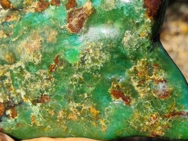 Contour Polished Chrysoprase CHC103