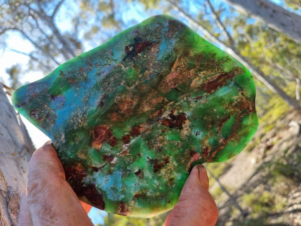 Contour Polished Chrysoprase CHC103