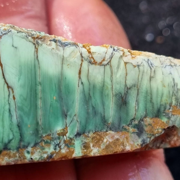 Variscite rough. VR409