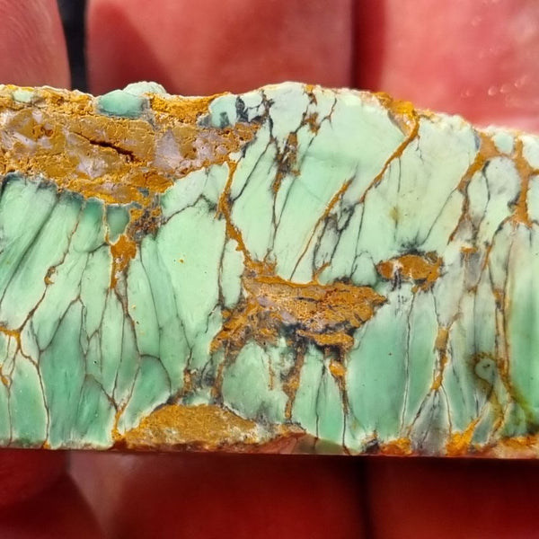 Variscite rough. VR409