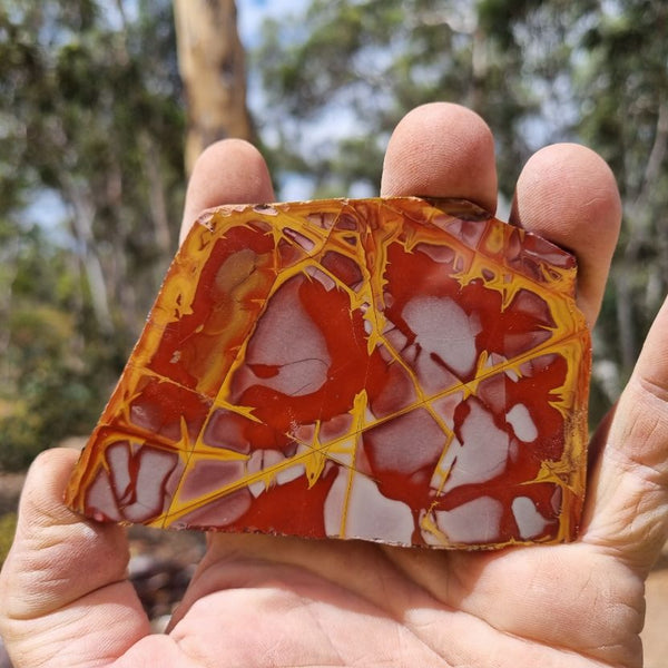 Polished Noreena Jasper slab. NJ418