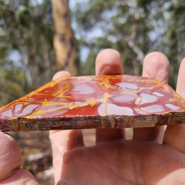 Polished Noreena Jasper slab. NJ418