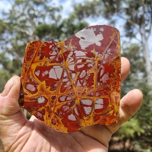 Polished Noreena Jasper slab. NJ420