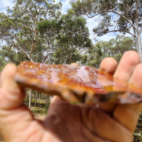 Polished Noreena Jasper slab. NJ420