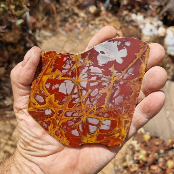 Polished Noreena Jasper slab. NJ420