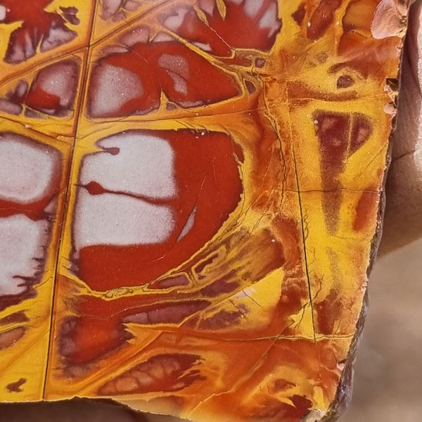 Polished Noreena Jasper slab. NJ420