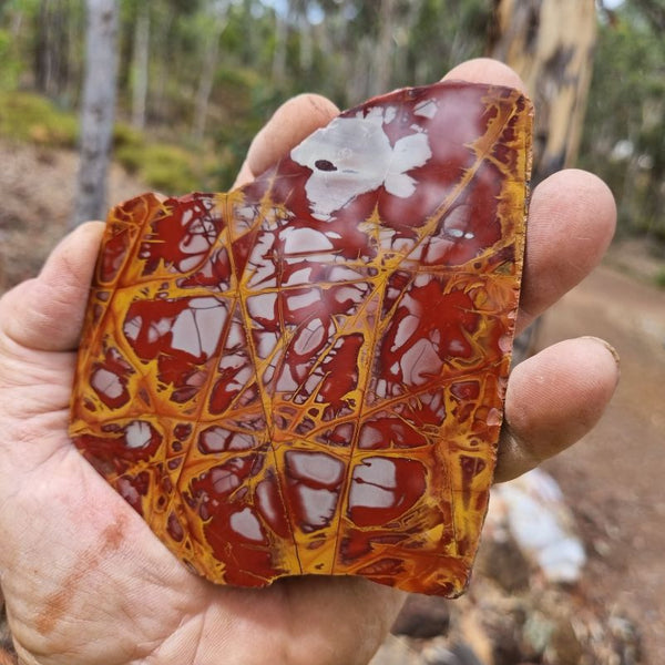 Polished Noreena Jasper slab. NJ420