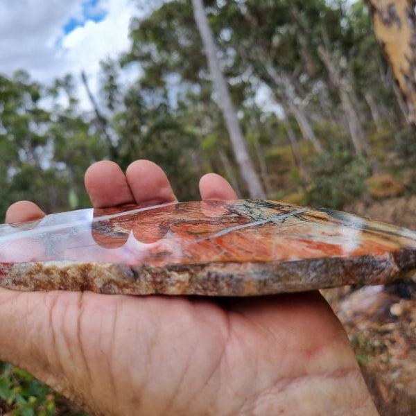 Starry Jasper slab SJ125