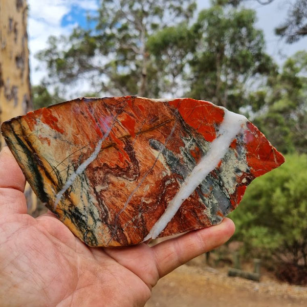 Starry Jasper slab SJ125