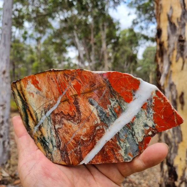 Starry Jasper slab SJ125