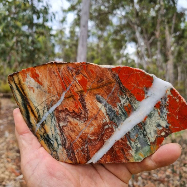 Starry Jasper slab SJ125