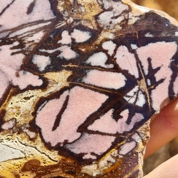 Polished Outback Jasper slab OJ158
