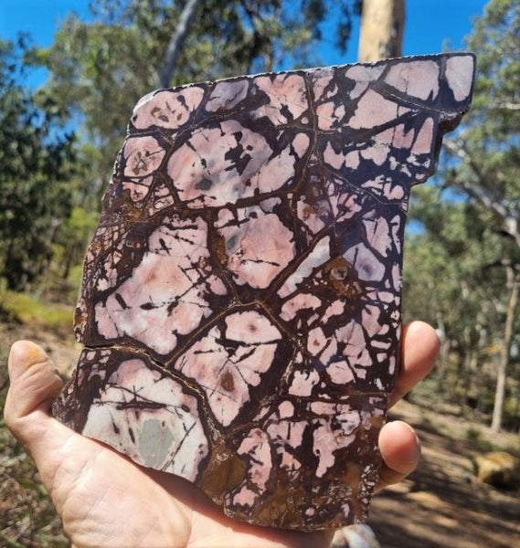 Polished Outback Jasper slab OJ159