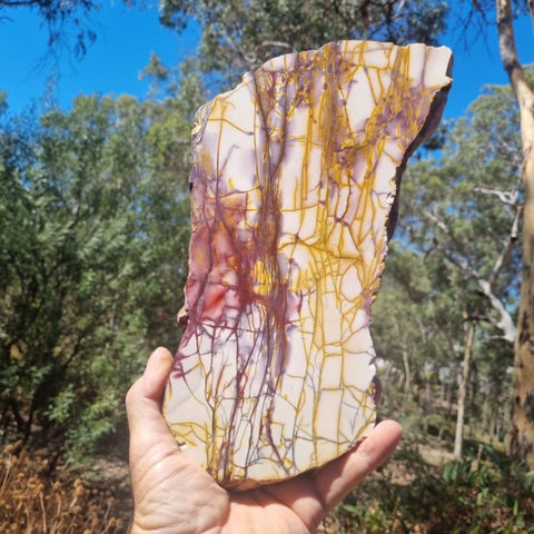 Polished Mookaite slab MK337