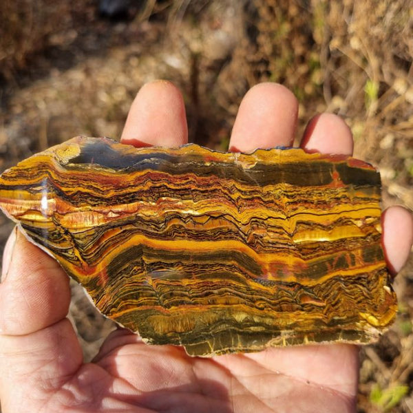 Polished Tiger Eye slab TE369