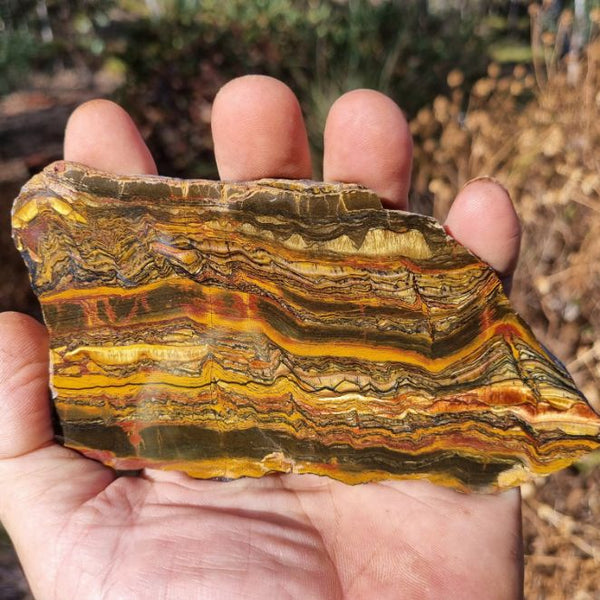 Polished Tiger Eye slab TE369