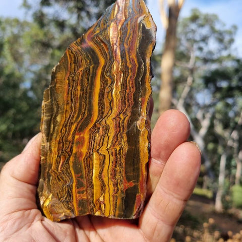 Polished Tiger Eye slab TE369