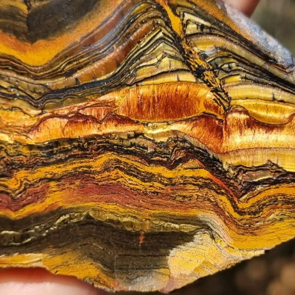 Polished Tiger Eye slab TE369