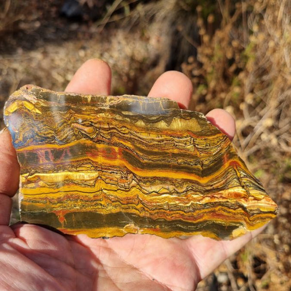 Polished Tiger Eye slab TE369