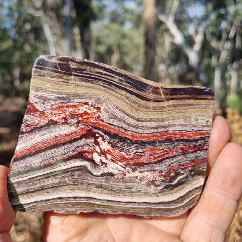 Polished Snakeskin Jasper slab SS159